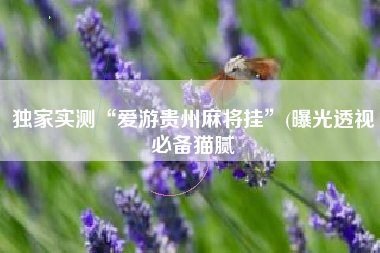 独家实测“爱游贵州麻将挂”(曝光透视必备猫腻