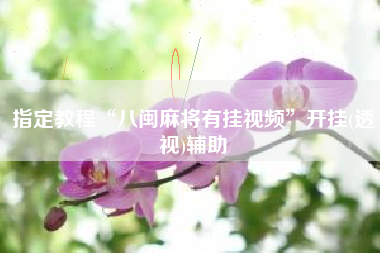 指定教程“八闽麻将有挂视频	”开挂(透视)辅助