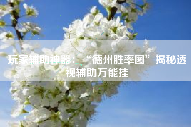 玩家辅助神器：“德州胜率图”揭秘透视辅助万能挂