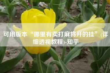可用版本“哪里有卖打麻将开的挂”(详细透视教程)-知乎