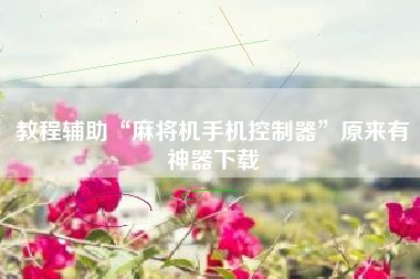 教程辅助“麻将机手机控制器	”原来有神器下载