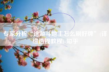 专家分析“途游斗地主怎么刷好牌”(详细透视教程)-知乎