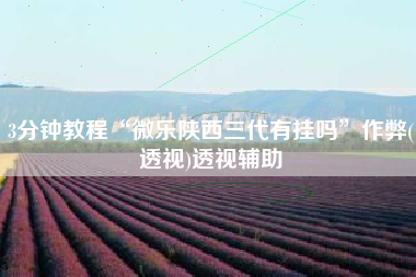 3分钟教程“微乐陕西三代有挂吗”作弊(透视)透视辅助