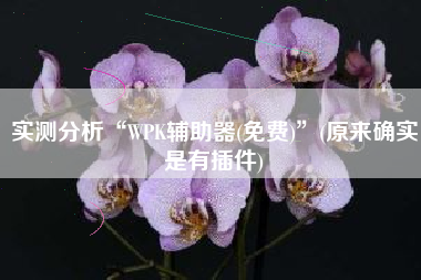 实测分析“WPK辅助器(免费)	”(原来确实是有插件)