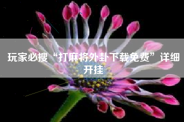 玩家必搜“打麻将外卦下载免费”详细开挂