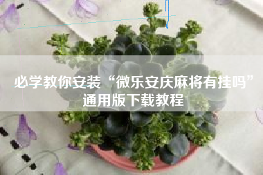 必学教你安装“微乐安庆麻将有挂吗”通用版下载教程
