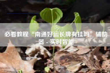 必看教程“南通好运长牌有挂吗	”辅助器 - 实时智能