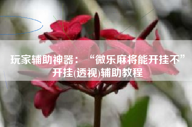 玩家辅助神器：“微乐麻将能开挂不”开挂(透视)辅助教程