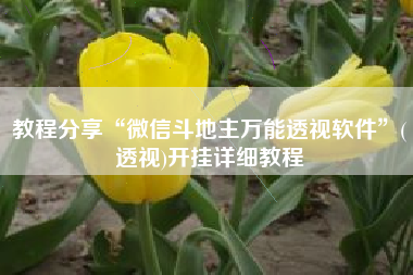 教程分享“微信斗地主万能透视软件”(透视)开挂详细教程