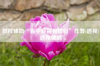 教程辅助“晋中麻将有挂吗”作弊(透视)透视辅助