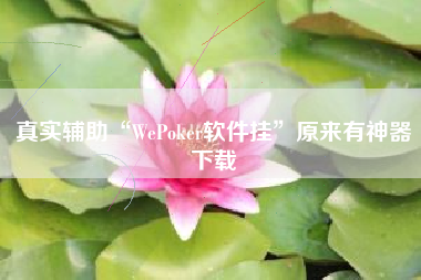 真实辅助“WePoker软件挂”原来有神器下载