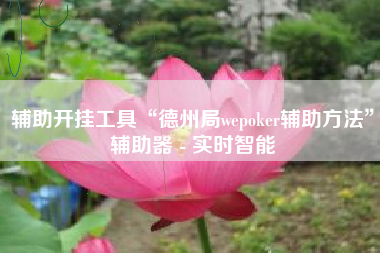辅助开挂工具“德州局wepoker辅助方法	”辅助器 - 实时智能