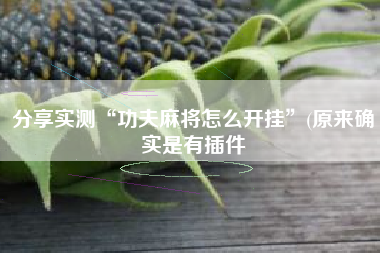 分享实测“功夫麻将怎么开挂”(原来确实是有插件
