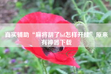 真实辅助“麻将胡了hd怎样开挂	”原来有神器下载