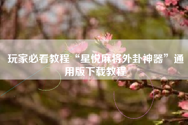 玩家必看教程“星悦麻将外卦神器	”通用版下载教程