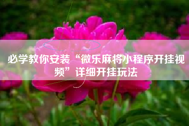 必学教你安装“微乐麻将小程序开挂视频”详细开挂玩法