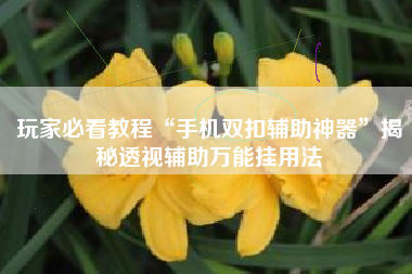 玩家必看教程“手机双扣辅助神器	”揭秘透视辅助万能挂用法