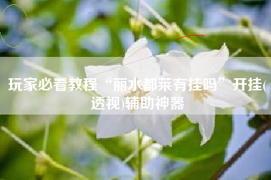 玩家必看教程“丽水都莱有挂吗	”开挂(透视)辅助神器