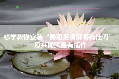 必学教你安装“贵阳捉鸡麻将有挂吗”(原来确实是有插件