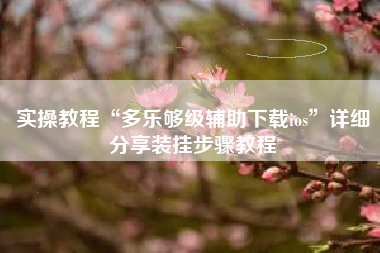 实操教程“多乐够级辅助下载ios”详细分享装挂步骤教程