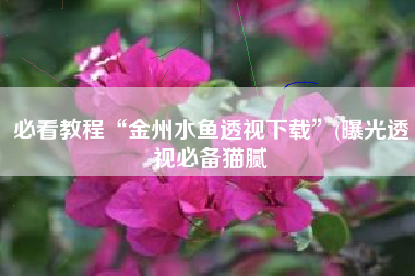 必看教程“金州水鱼透视下载	”(曝光透视必备猫腻