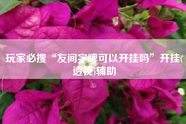玩家必搜“友间字牌可以开挂吗”开挂(透视)辅助