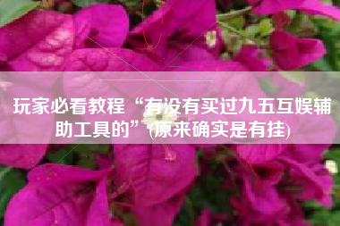 玩家必看教程“有没有买过九五互娱辅助工具的”(原来确实是有挂)