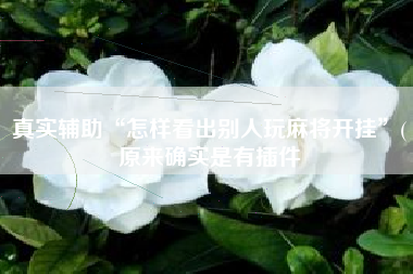 真实辅助“怎样看出别人玩麻将开挂	”(原来确实是有插件