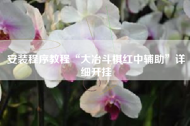安装程序教程“大冶斗棋红中辅助”详细开挂