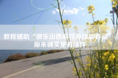 教程辅助“微乐山西麻将开挂后特征”(原来确实是有插件