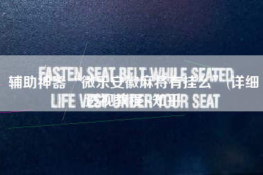 辅助神器“微乐安徽麻将有挂么”(详细透视教程)-知乎