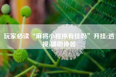 玩家必读“麻将小程序有挂吗”开挂(透视)辅助神器