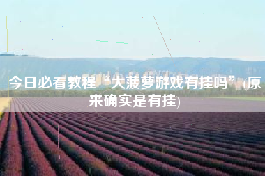 今日必看教程“大菠萝游戏有挂吗”(原来确实是有挂)