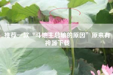 推荐一款“斗地主总输的原因”原来有神器下载