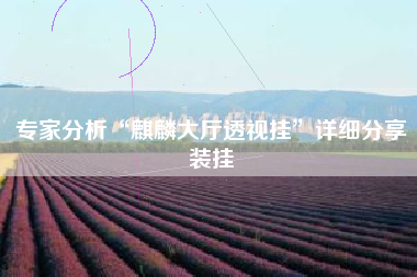 专家分析“麒麟大厅透视挂”详细分享装挂