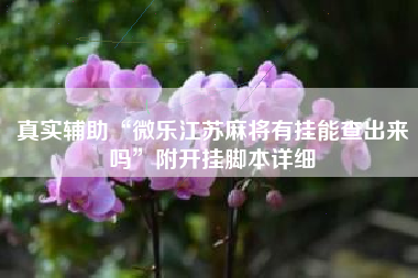 真实辅助“微乐江苏麻将有挂能查出来吗”附开挂脚本详细