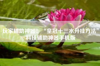 玩家辅助神器：“皇冠十三水开挂方法”科技辅助神器手机版