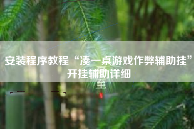 安装程序教程“凑一桌游戏作弊辅助挂	”开挂辅助详细