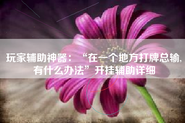 玩家辅助神器：“在一个地方打牌总输,有什么办法	”开挂辅助详细