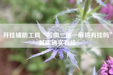 开挂辅助工具“皖南三加一麻将有挂吗”其实确实有挂