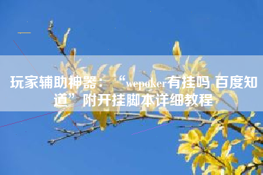 玩家辅助神器：“wepoker有挂吗 百度知道”附开挂脚本详细教程
