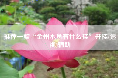 推荐一款“金州水鱼有什么挂”开挂(透视)辅助