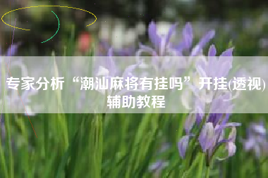 专家分析“潮汕麻将有挂吗	”开挂(透视)辅助教程