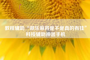 教程辅助“微乐麻将是不是真的有挂	”科技辅助神器手机