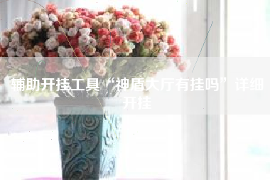 辅助开挂工具“神盾大厅有挂吗”详细开挂