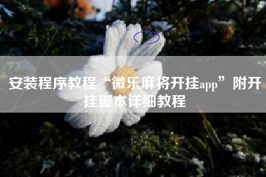 安装程序教程“微乐麻将开挂app	”附开挂脚本详细教程