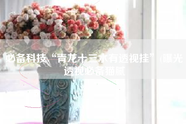 必备科技“青龙十三水有透视挂”(曝光透视必备猫腻