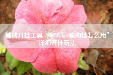 辅助开挂工具“WEPoker辅助挂怎么用”详细开挂玩法
