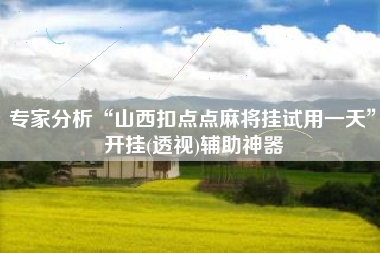 专家分析“山西扣点点麻将挂试用一天	”开挂(透视)辅助神器