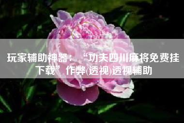 玩家辅助神器：“功夫四川麻将免费挂下载”作弊(透视)透视辅助